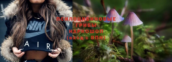 дживик Бронницы