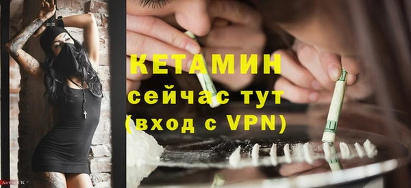 дурь Бородино