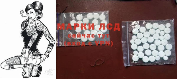 дурь Бородино