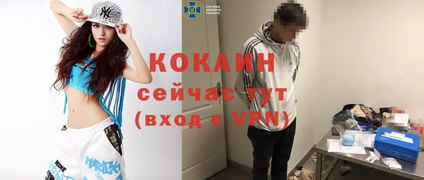 дживик Бронницы