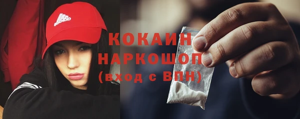 дживик Бронницы