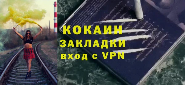 дживик Бронницы