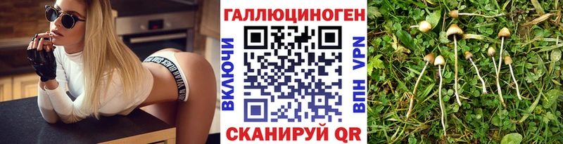 Галлюциногенные грибы мухоморы  ОМГ ОМГ ССЫЛКА  Архангельск 